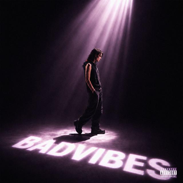 Copertina di BADVIBES